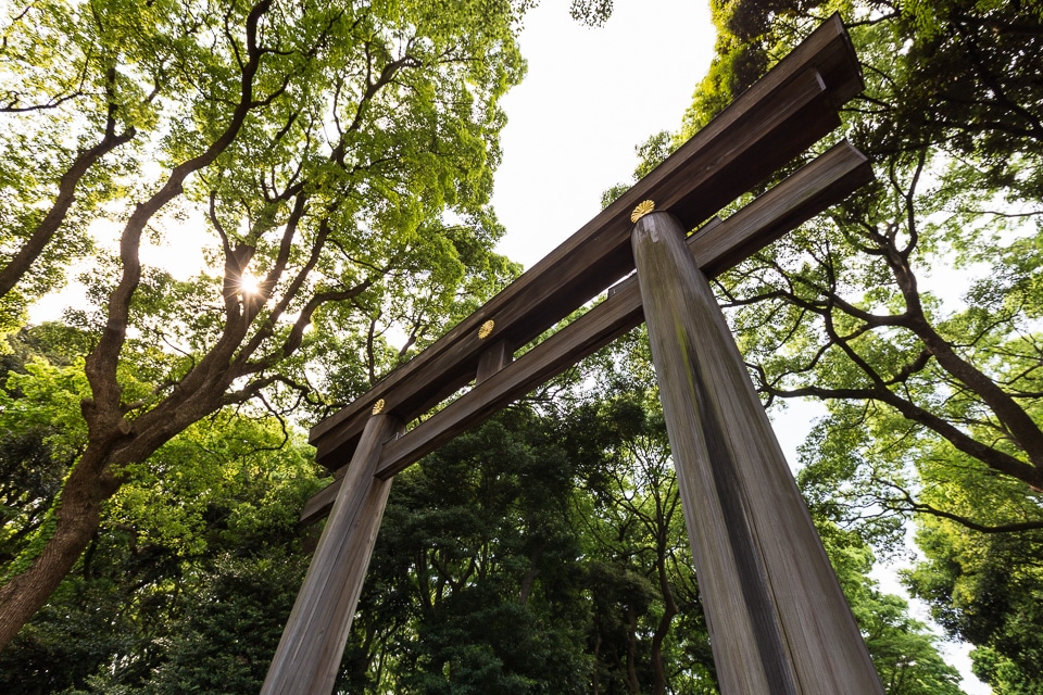 meiji jingu torii quartiers incontournables sud Tokyo