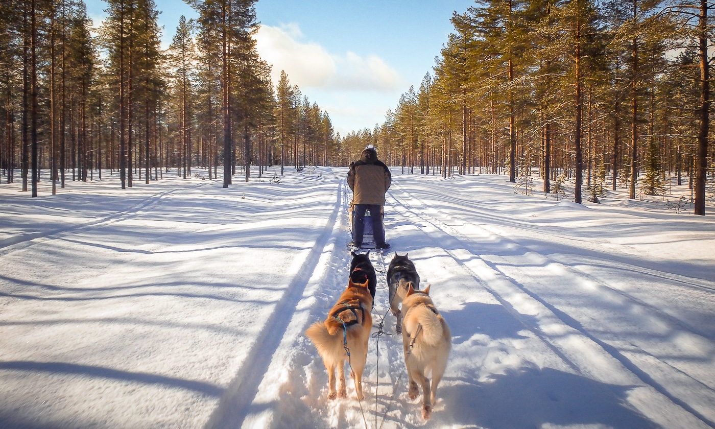 La Laponie finlandaise, un voyage hivernal féérique