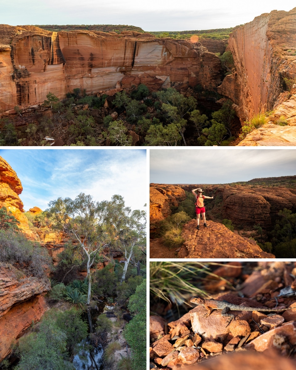 visiter kings Canyon australie