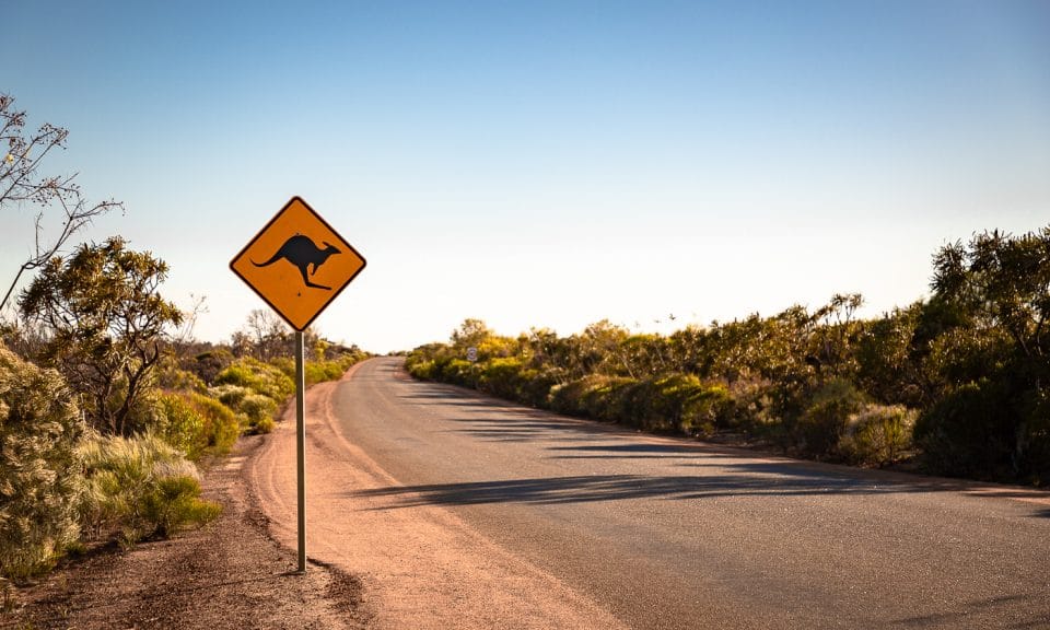 panneau de kangourou le long d'une route en Australie
