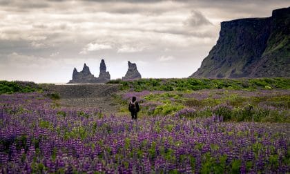 La route panoramique du sud de l’Islande