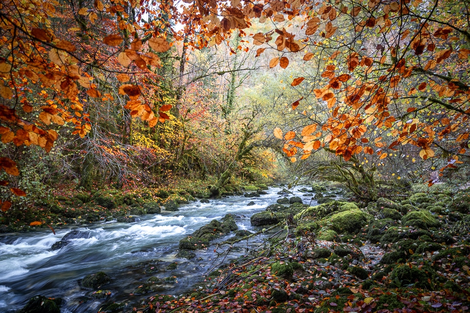 gorges flumen jura autumn