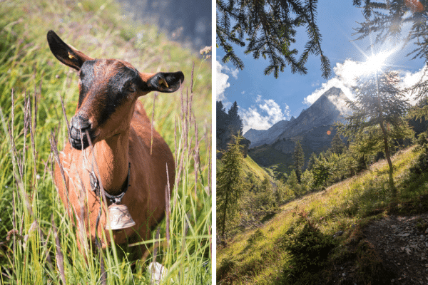 Randonnée autour du Sex des Branlettes par le col des chamois nord