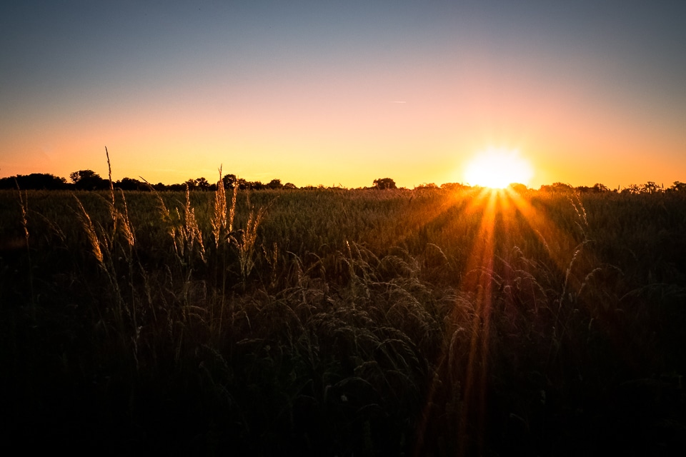 coucher de soleil dans les blés