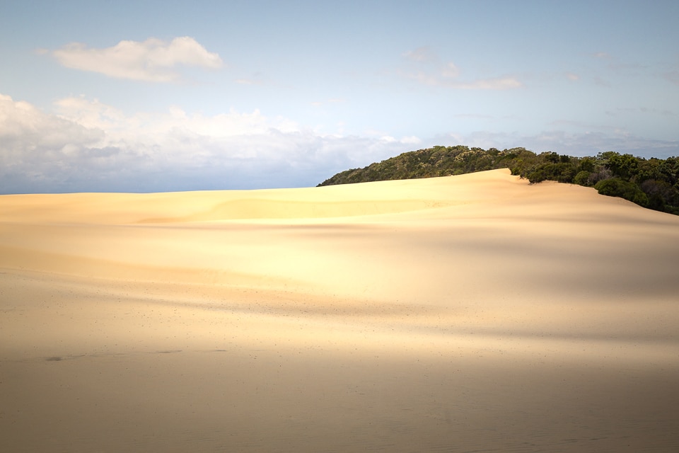 dunes de fraser island