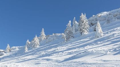 Randonnée hivernale en raquettes au Chasseral