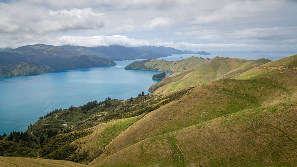 marlborough sounds en Nouvelle Zélande